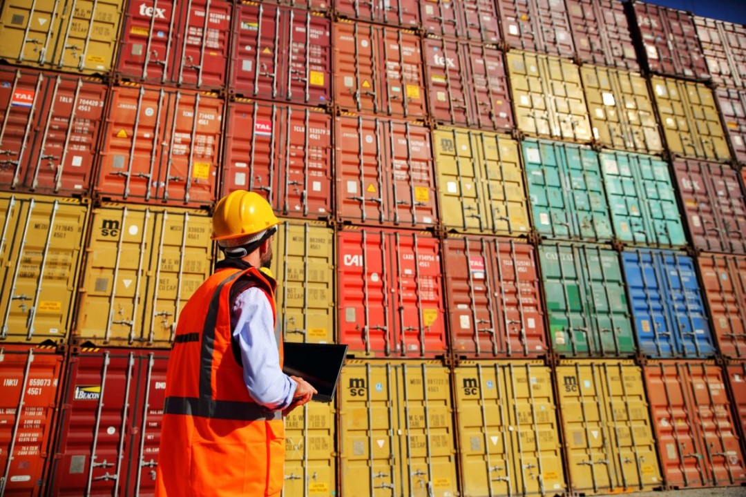 Veristic inspector at a container yard